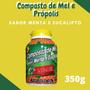 Imagem de Composto Antigripal Farmel Mel Menta e Eucalipto 350g Kit Promocional 3 Unidades