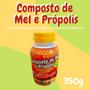 Imagem de Composto Antigripal Farmel Mel, Própolis, Abacaxi, Acerola e Frutas Cítricas 350g Kit Promocional 24 Unidades