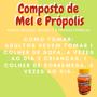 Imagem de Composto Antigripal Farmel Mel, Própolis, Abacaxi, Acerola e Frutas Cítricas 350g Kit Promocional 4 Unidades