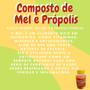 Imagem de Composto Antigripal Farmel Mel, Própolis, Abacaxi, Acerola e Frutas Cítricas 350g Kit Promocional 48 Unidades