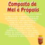 Imagem de Composto Antigripal Farmel Mel, Própolis, Abacaxi, Acerola e Frutas Cítricas 350g Kit Promocional 7 Unidades