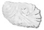 Imagem de Concha Decorativa Lyor Shell De Cristal 16,5cm X 12cm X 3cm