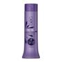 Imagem de Condicionador Ametista 300Ml - Haskell