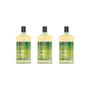 Imagem de Condicionador Ouribel 1000Ml Oleo De Ricino - Kit C/3Un
