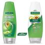 Imagem de Condicionador Palmolive Naturals Anti Armado 350mL