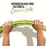 Imagem de Condicionador Pantene Bambu 150Ml