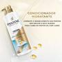 Imagem de Condicionador Pro-V Miracles Equilíbrio Raiz E Pontas 510ml Pantene