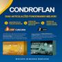 Imagem de Condroflan ha cart flex com 30 cápsulas