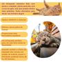 Imagem de  Cone Catnip Matatabi Stick Pena Para Gatos Jambo Pet