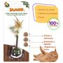 Imagem de  Cone Catnip Matatabi Stick Pena Para Gatos Jambo Pet