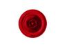 Imagem de Cone Espremedor de Frutas Original do Processador Arno Multichef 4 em 1 MP60 / MP61 / MP70 / MP74 - Vermelho