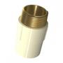 Imagem de Conector Agua Quente Cpvc Aquatherm Tigre 22Mmx3/4''