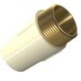 Imagem de Conector Agua Quente Cpvc Aquatherm Tigre 22Mmx3/4''