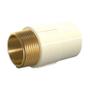 Imagem de Conector Aquatherm 22X1/2 Tigre