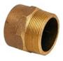 Imagem de Conector Latão Macho Bronze Ramo B 28 RM 1"