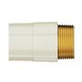 Imagem de Conector Macho Aquatherm Cpvc 28 x 1 100021062 Tigre