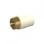 Imagem de Conector Tigre Aquatherm 22Mmx3/4   22850636