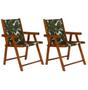 Imagem de Conjunto 2 Cadeiras Praia Dobrável em Madeira Envernizada Mel com Tecido