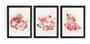 Imagem de Conjunto 3 Quadros Esculturas Classicas Com Flores Decoração