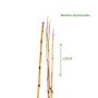 Imagem de Conjunto 3 Varinhas Bambu Pesca Peixinhos Pescaria Festa Junina Arraial