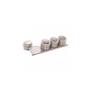Imagem de Conjunto 4 Porta Temperos de Aço Inox com Suporte Imantado 80ml - Lyor