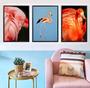 Imagem de Conjunto 5 Quadros Decorativos Flamingos Natureza Animais"