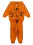 Imagem de Conjunto Blusão Com Capuz E Calça Em Moletom Leãozinho