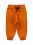 Imagem de Conjunto Blusão Com Capuz E Calça Em Moletom Leãozinho