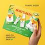 Imagem de Conjunto Burt's Bees Gentle To-Go para Cuidados com a Pele - Limpador e Loção