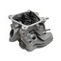 Imagem de Conjunto Cabeçote Completo Do Motor BFG 6.5cv Buffalo - 2607