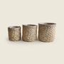 Imagem de Conjunto Cachepô Tulum Fibra com 3 Peças - ACASA Conjunto Cachepot Tulum Fibra com 3 Peças - ACASA