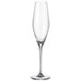 Imagem de Conjunto com 06 taças para champagne loxia cristal bohemia 58662 - 210ml