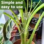 Imagem de Conjunto com 2 Braçadeiras de Bambu Turtle Shell para Plantas - Suporte de Jardim