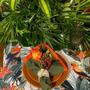 Imagem de Conjunto com 2 jogos americano mesa tropical araras 3D