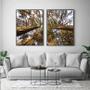 Imagem de Conjunto com 2 quadros decorativos Árvores
