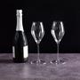 Imagem de Conjunto com 2 Taças para Champagne Performance 375ml Riedel