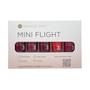 Imagem de Conjunto Dazzle Dry Mini Flight Best of Reds - 5 Vernizes para Unhas