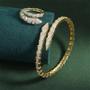 Imagem de Conjunto de Anéis e Pulseiras com Zircônia Cúbica Prateada - Estilo Cobra