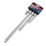 Imagem de Conjunto de barras de extensão Socket Drive WORKPRO W074459 3/8" em aço