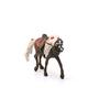 Imagem de Conjunto de brinquedos para estatuetas Schleich Horse Club Rocky Mountain