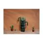 Imagem de Conjunto De Copos De Vidro Cactus Com 4 Peças De 240Ml