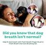 Imagem de Conjunto de escovas de dentes de dedo TropicLean Fresh Breath para cães