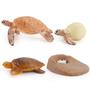 Imagem de Conjunto de figuras Fantarea Sea Turtle Ocean Animal Life Cycle x4