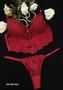 Imagem de Conjunto de lingerie cropped sensual em tule bordado com calcinha fio duplo string com regulagem.