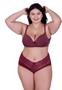 Imagem de Conjunto de Lingerie Plus Size Sutiã e Calcinha Cintura Alta de Renda Paula