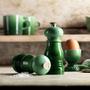 Imagem de Conjunto de Moinhos de Sal e Pimenta Le Creuset Petite Flame - 5x2cm