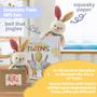 Imagem de Conjunto de Pelúcia Tkusteigs Twins - Coelho e Livro de Histórias para Bebês