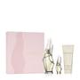 Imagem de Conjunto de perfumes Donna Karan Cashmere Mist Eau de Parfum 100ml