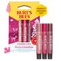 Imagem de Conjunto de Presentes Burt's Bees Kissable Color Lip Shimmer - 3 Unidades de 8ml