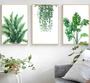 Imagem de conjunto de quadros decorativos 3 peças Nórdico folhas verdes planta"